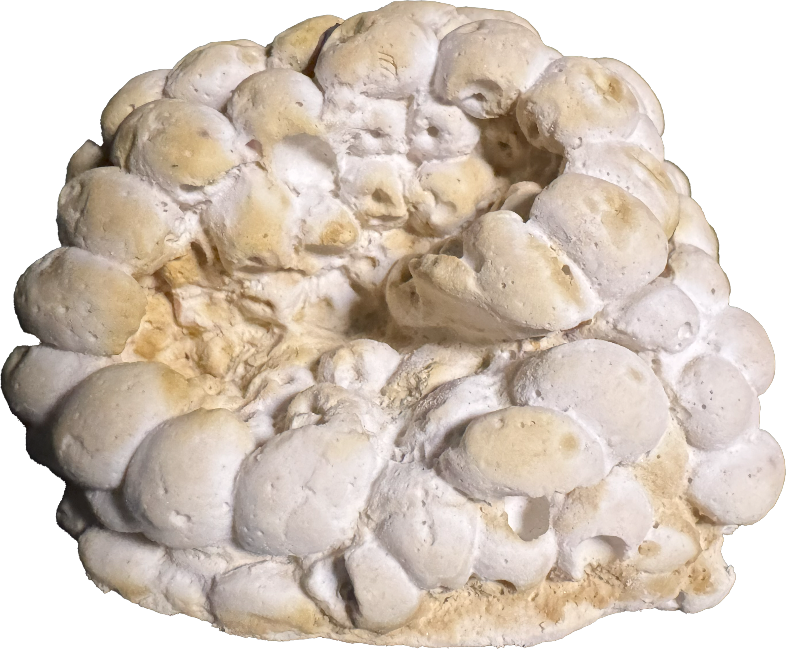 Plaster cast of pomegranate voids — bumpy, cellular surface in white.